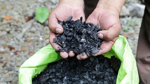 Biochar is used in the reforestation of the Andean cloud forest (Credit: Credit: Elisa Parhad)