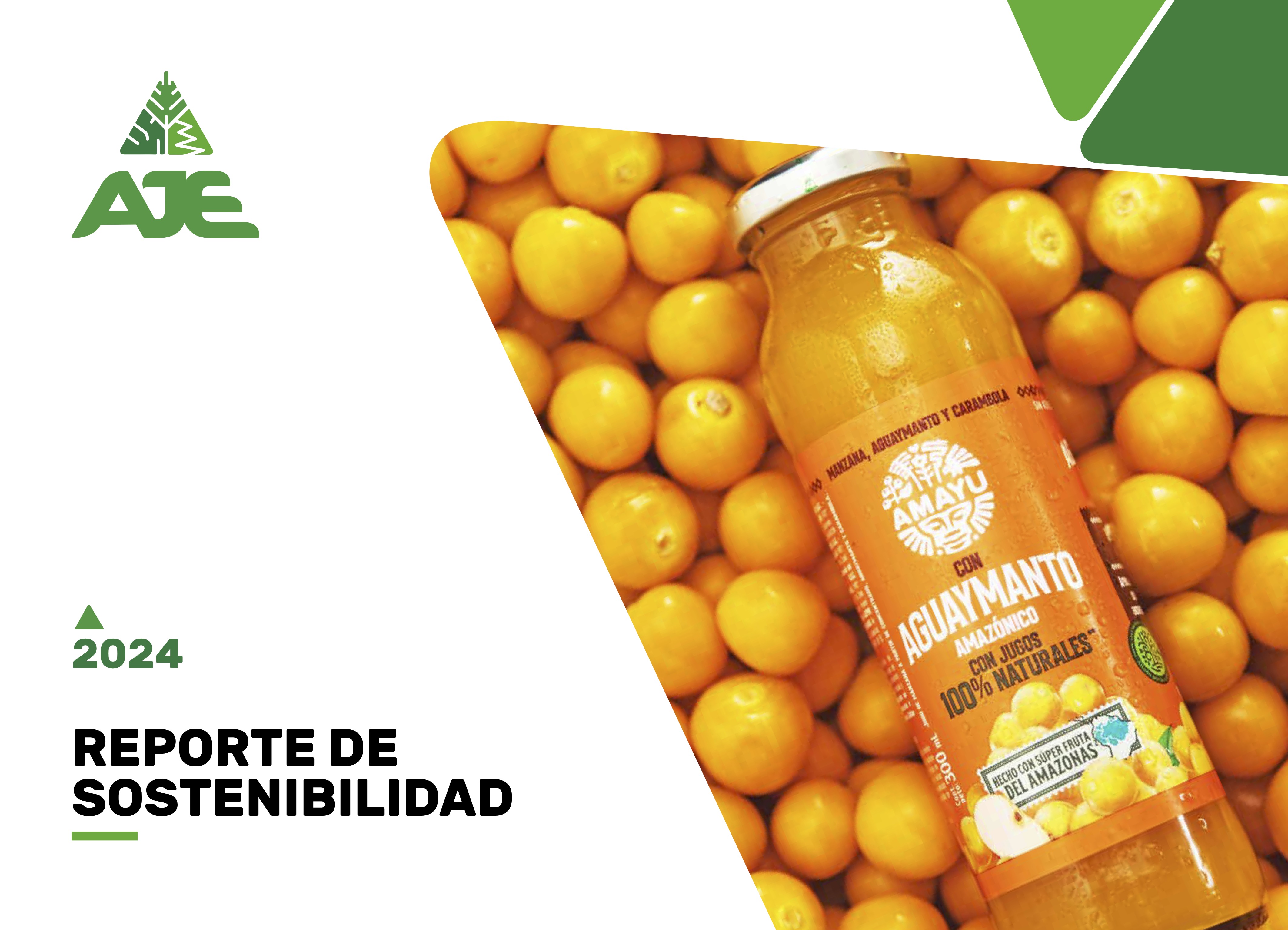 Reporte de sostenibilidad 2024